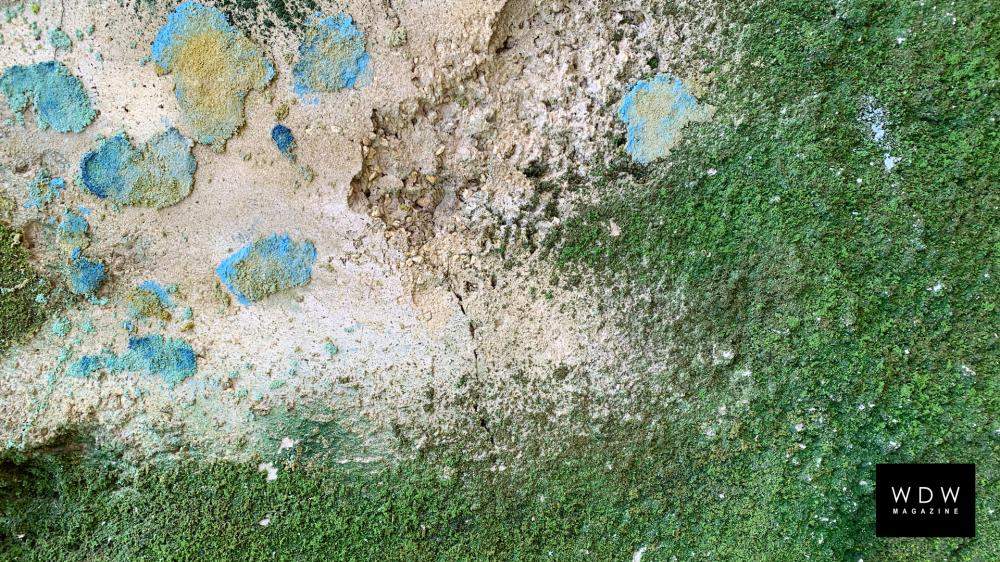 Sydney Harris cover photo