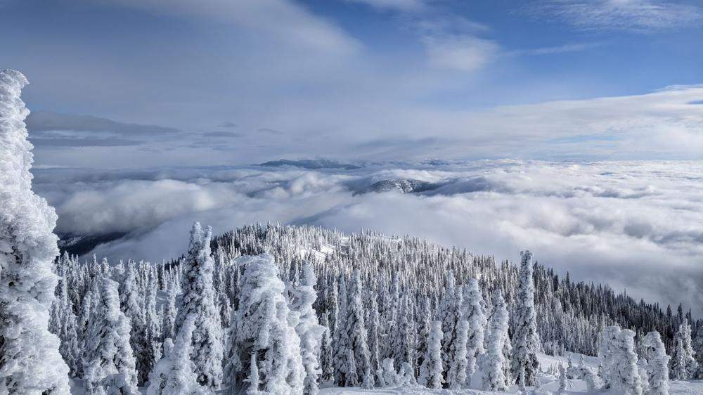 Fionn Miller cover photo