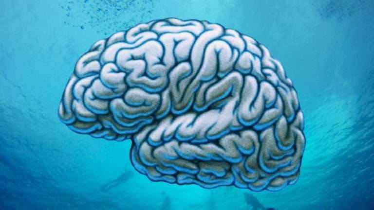 An illustration of a brain underwater