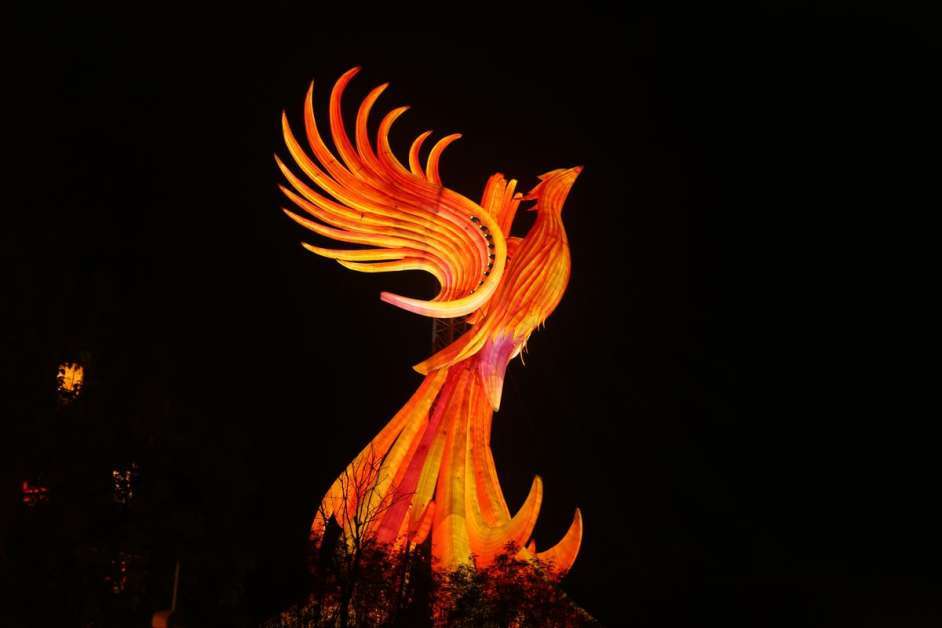 Large-scale illuminated phoenix sculpture photographed at night against a dark sky